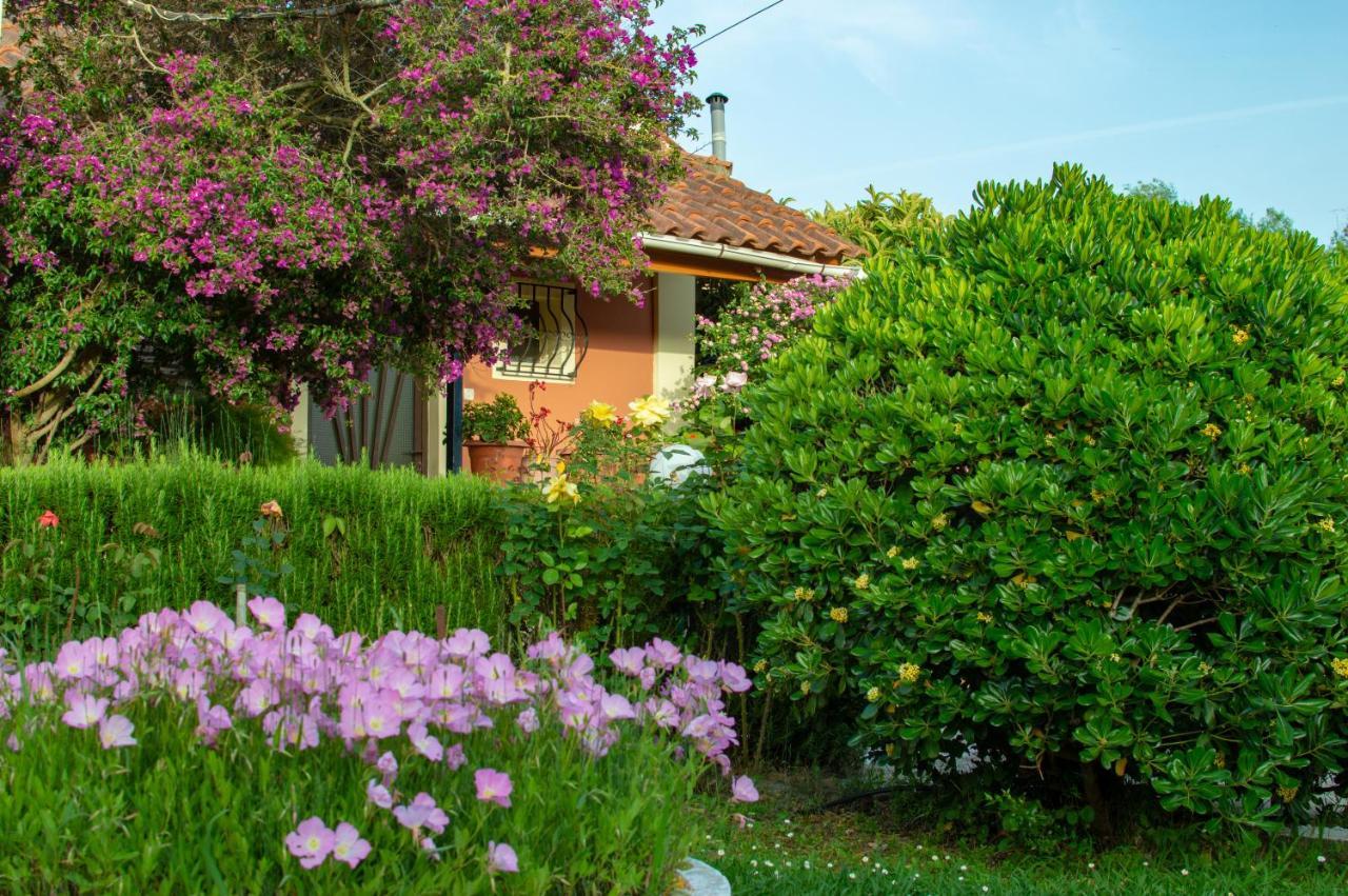 Rose Garden Villa Melíkia Dış mekan fotoğraf