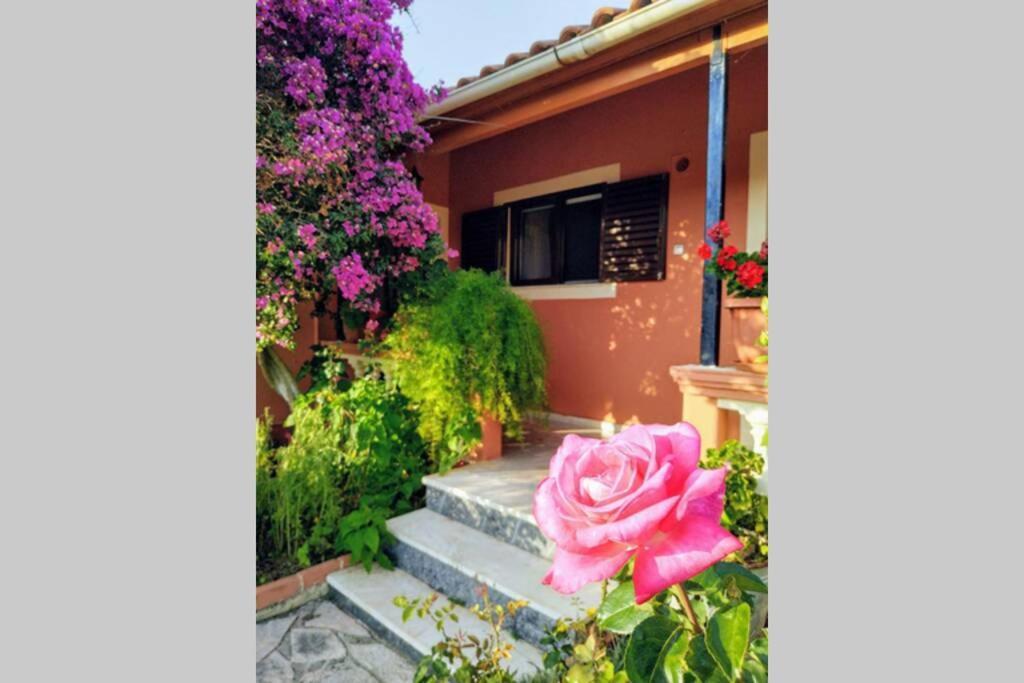 Rose Garden Villa Melíkia Dış mekan fotoğraf